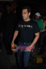 Salman Khan at Dabang pre film bash in Aurus on 13th  Nov 2009 (5).JPG